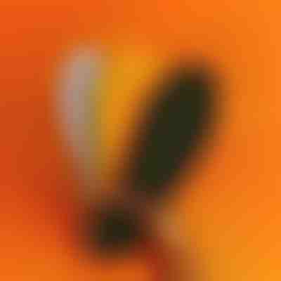 Palmilhas ortopédicas com pontos de massagem | STEPEASE