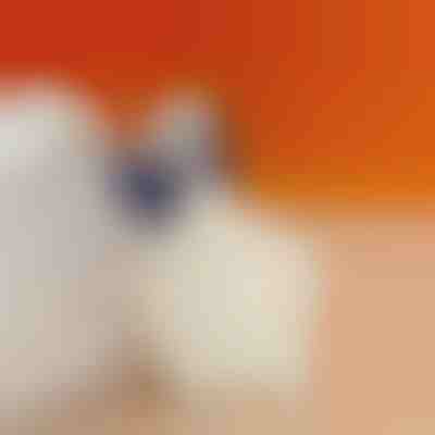 Almofada para calcanhar para reduzir a dor no calcanhar | STEPHEEL